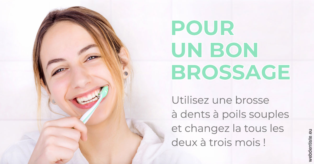 https://www.orthodontiste-st-etienne.fr/Pour un bon brossage 2