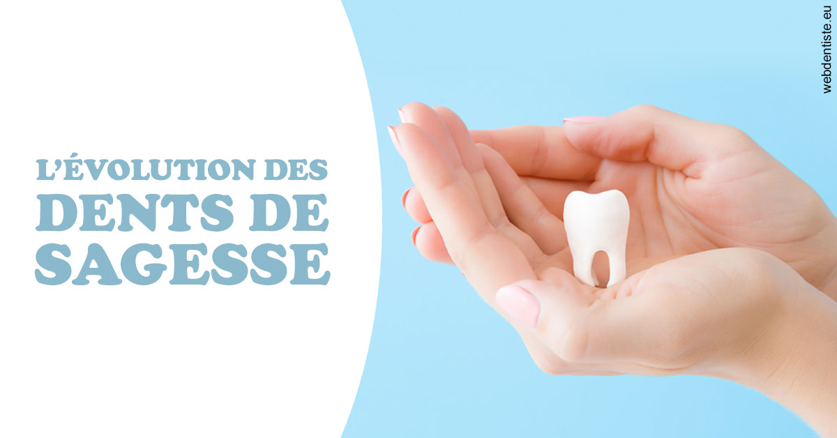 https://www.orthodontiste-st-etienne.fr/Evolution dents de sagesse 1