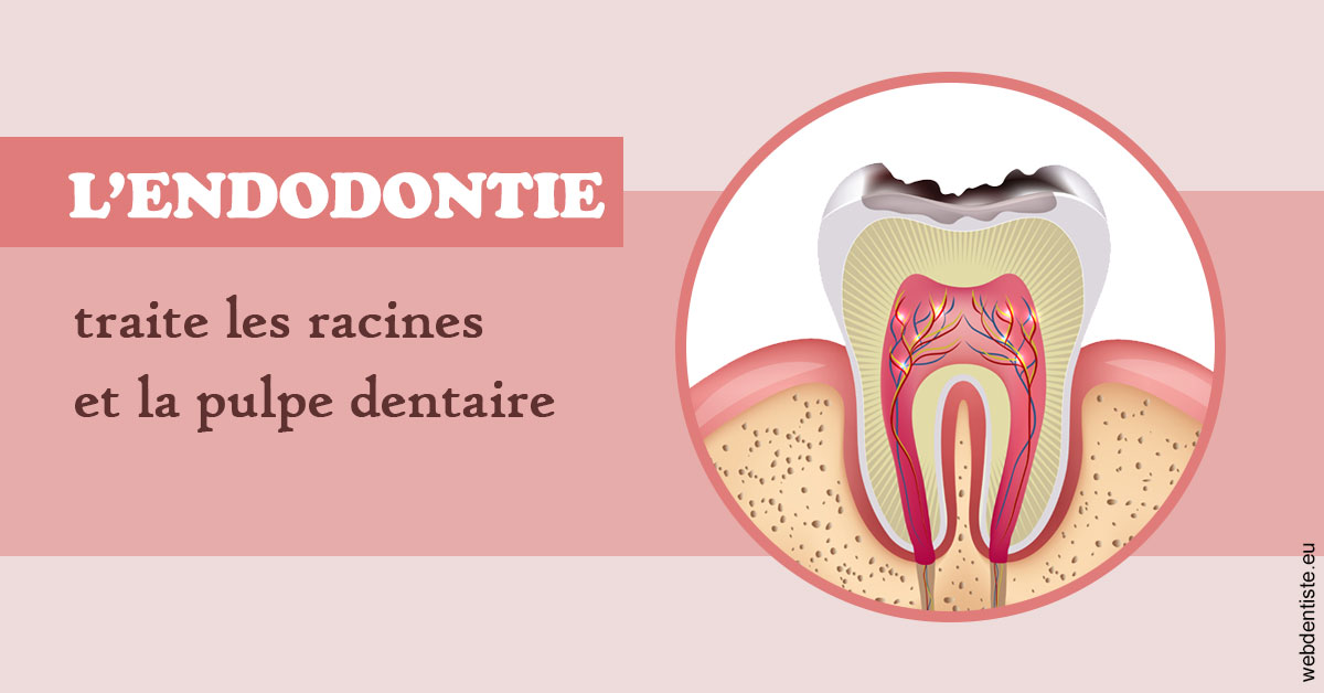 https://www.orthodontiste-st-etienne.fr/L'endodontie 2