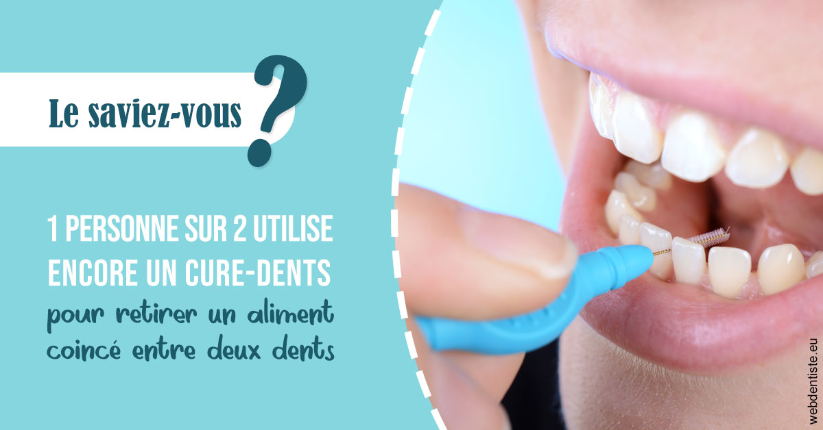 https://www.orthodontiste-st-etienne.fr/Cure-dents 1
