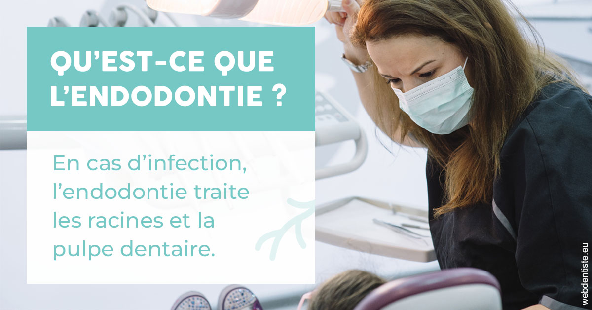 https://www.orthodontiste-st-etienne.fr/2024 T1 - Endodontie 01